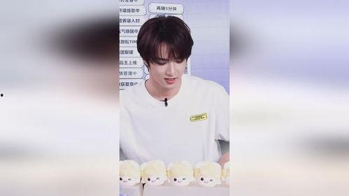 刘耀文最新爆料,揭秘娱乐圈背后的惊人真相